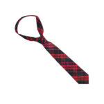 MacDonald Tartan NeckTie - Image 2